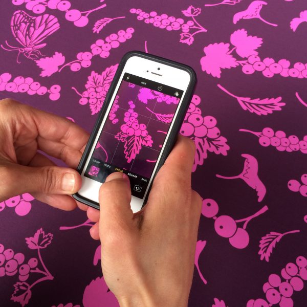 taking picture of berry yardage